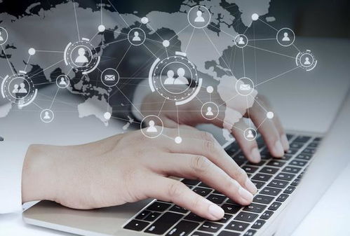 盤點大學里認可度高的三本證書 大一新生必讀指南與實用工具推薦